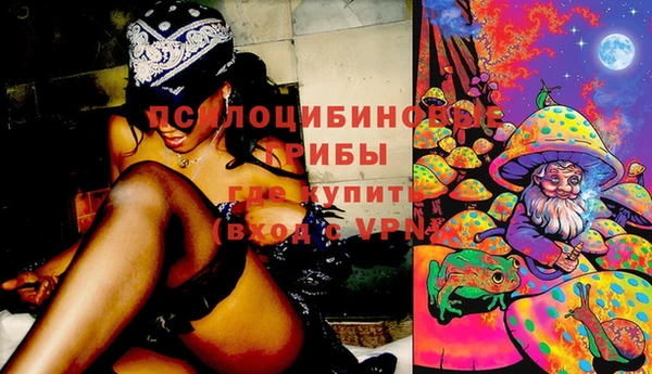 спайс Алексеевка