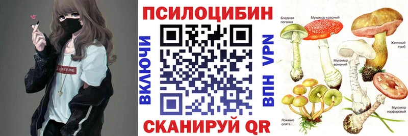 ссылка на мегу онион Исилькуль Псилоцибиновые грибы Psilocybe